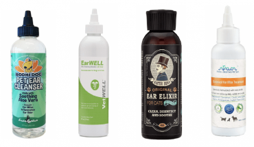 Best Ear Mite treatment